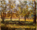 Autumn at Queenswood