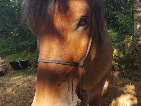 Time to catch up..........