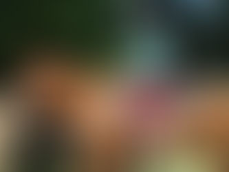 Fun in the Sun | Summer Camp 2025