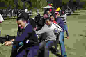 12.jpeg
