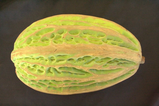 Mazorca