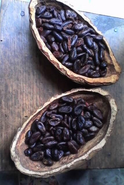 cacaochinantla
