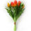 Thumbnail: Tulip Bouquet