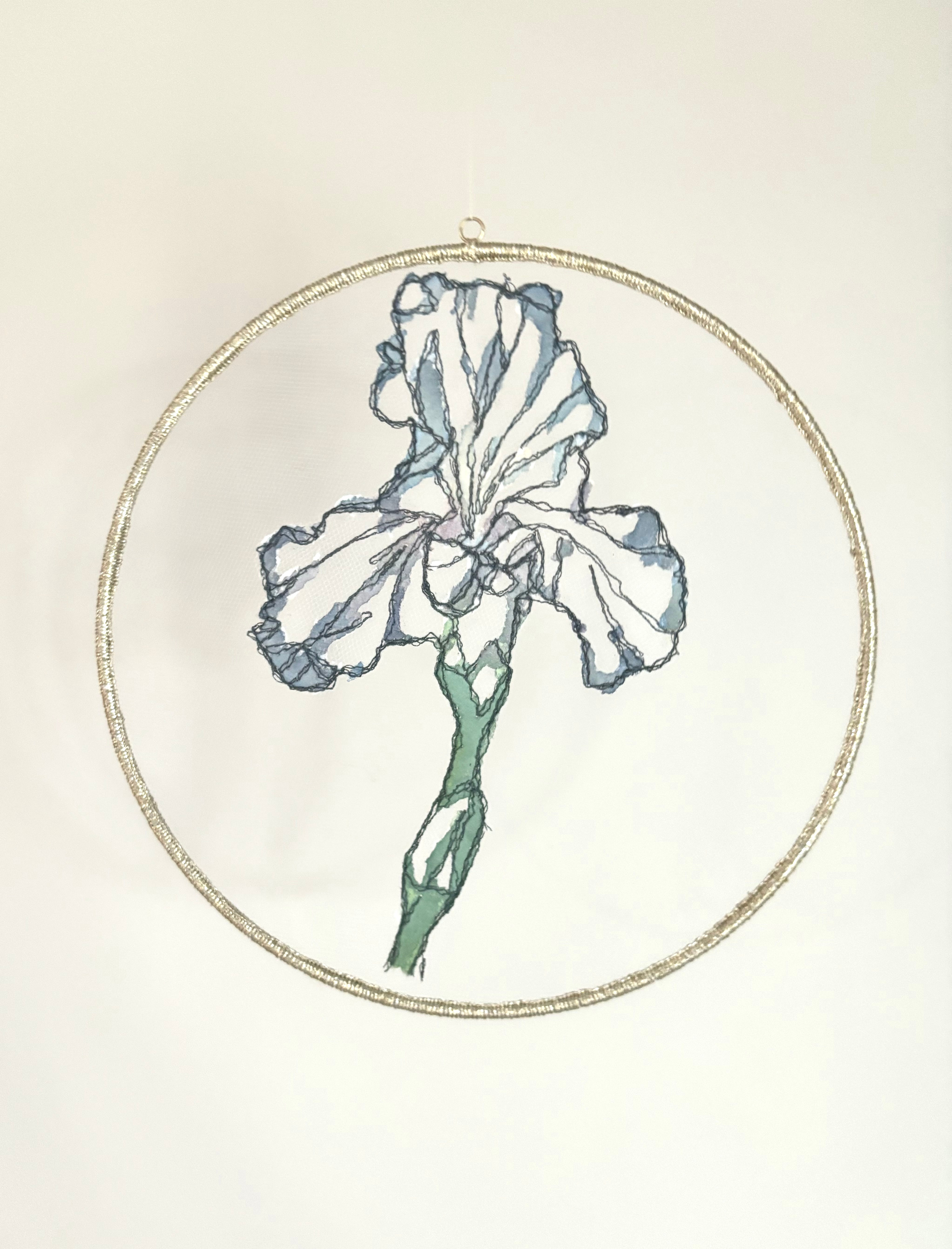 Bearded Iris 7"