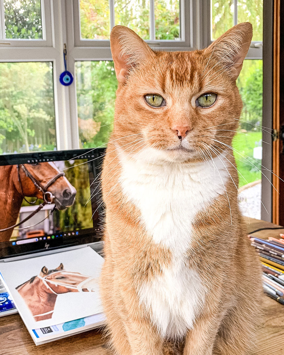 Ginger cat (Merlin) sitting on the table, with an equine portrait, pencils and laptop visible behind.
