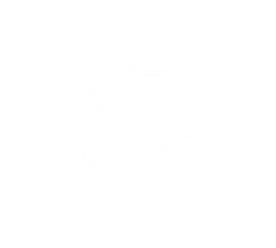 Electrophysiology_edited_edited.png