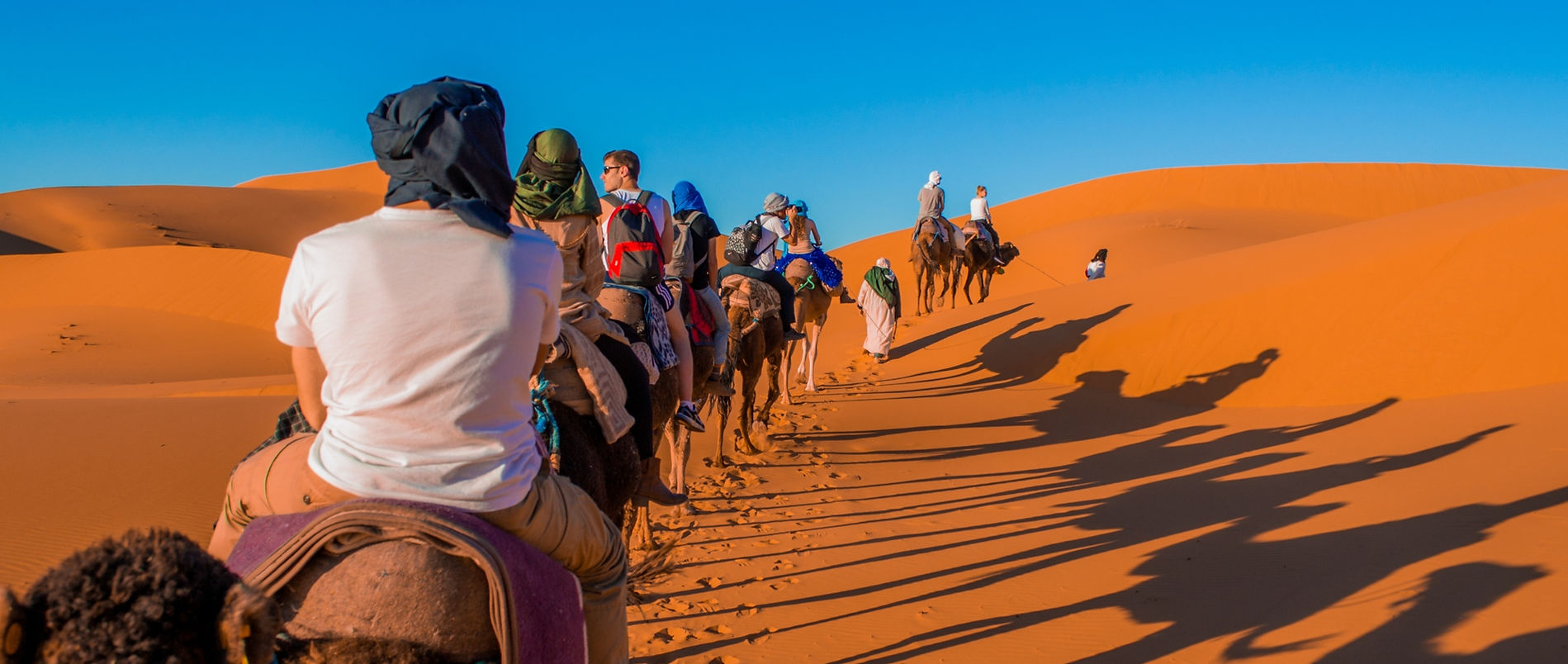 Paseo en camello / Del Mar Al Desierto Viajes