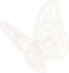 fly_1.png