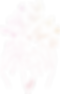 lavie_irast_c.png