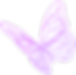 fly.png