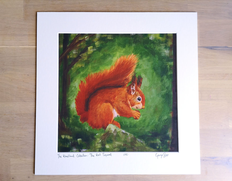 Thumbnail: Limited edition art print the red squirrel, one of ten, cool original painting prints
