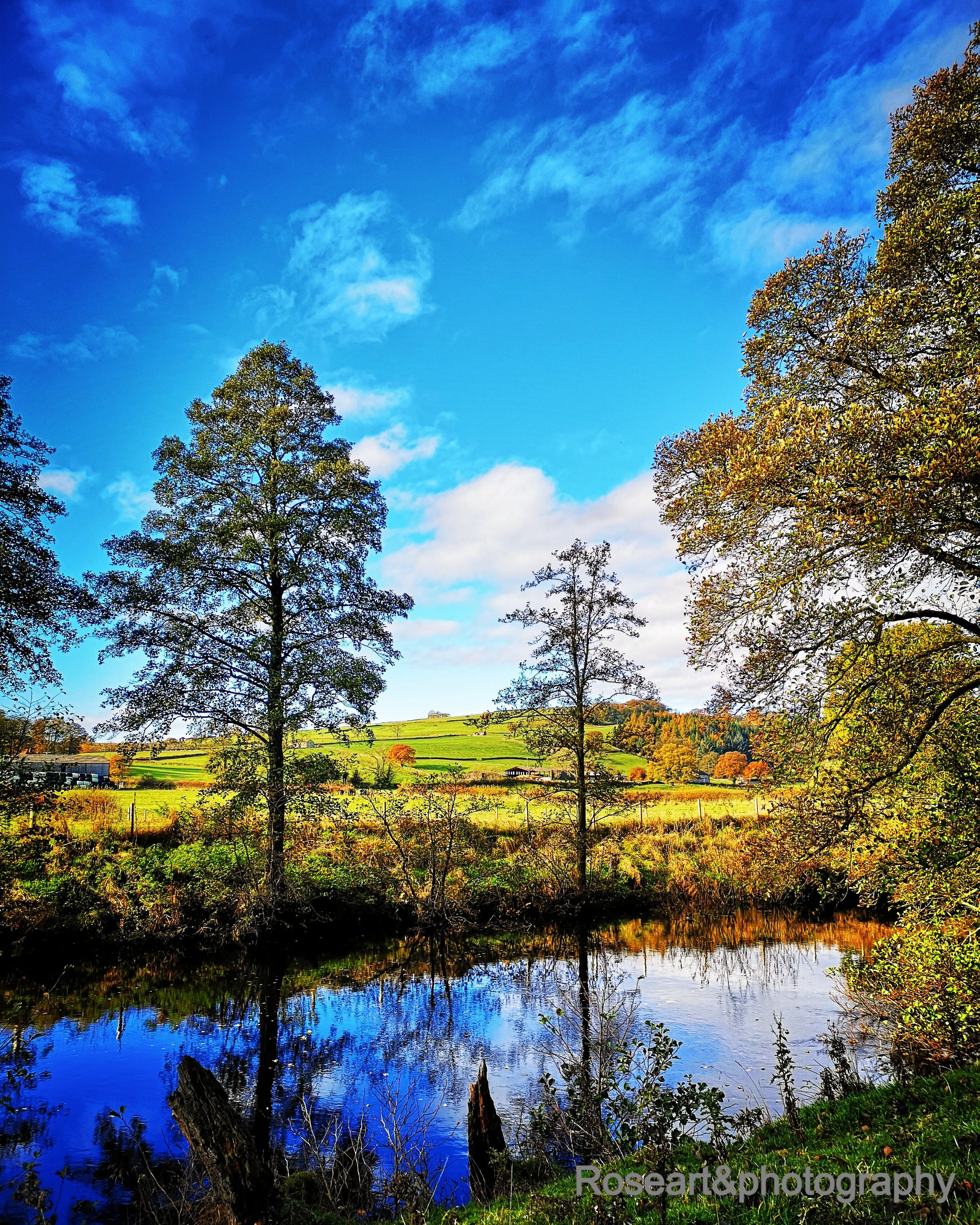 Nature Photograph of a calm river in the North Yorkshire Dales, trees nature and Yorkshire countryside, vivid colourful print
