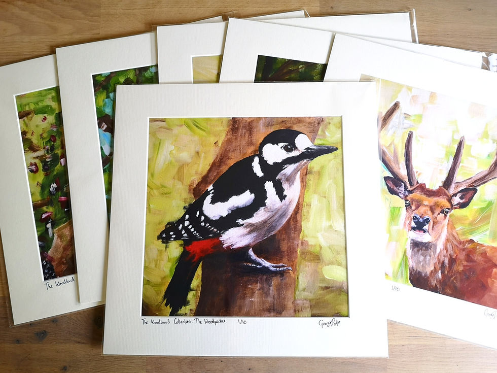 The woodpecker, limited art print, original painting prints, bold and bright artwork