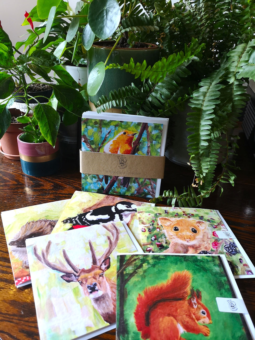 Thumbnail: Whole collection picture, Red Squirrel greetings cards, beautiful quality cards, woodland animals original artwork