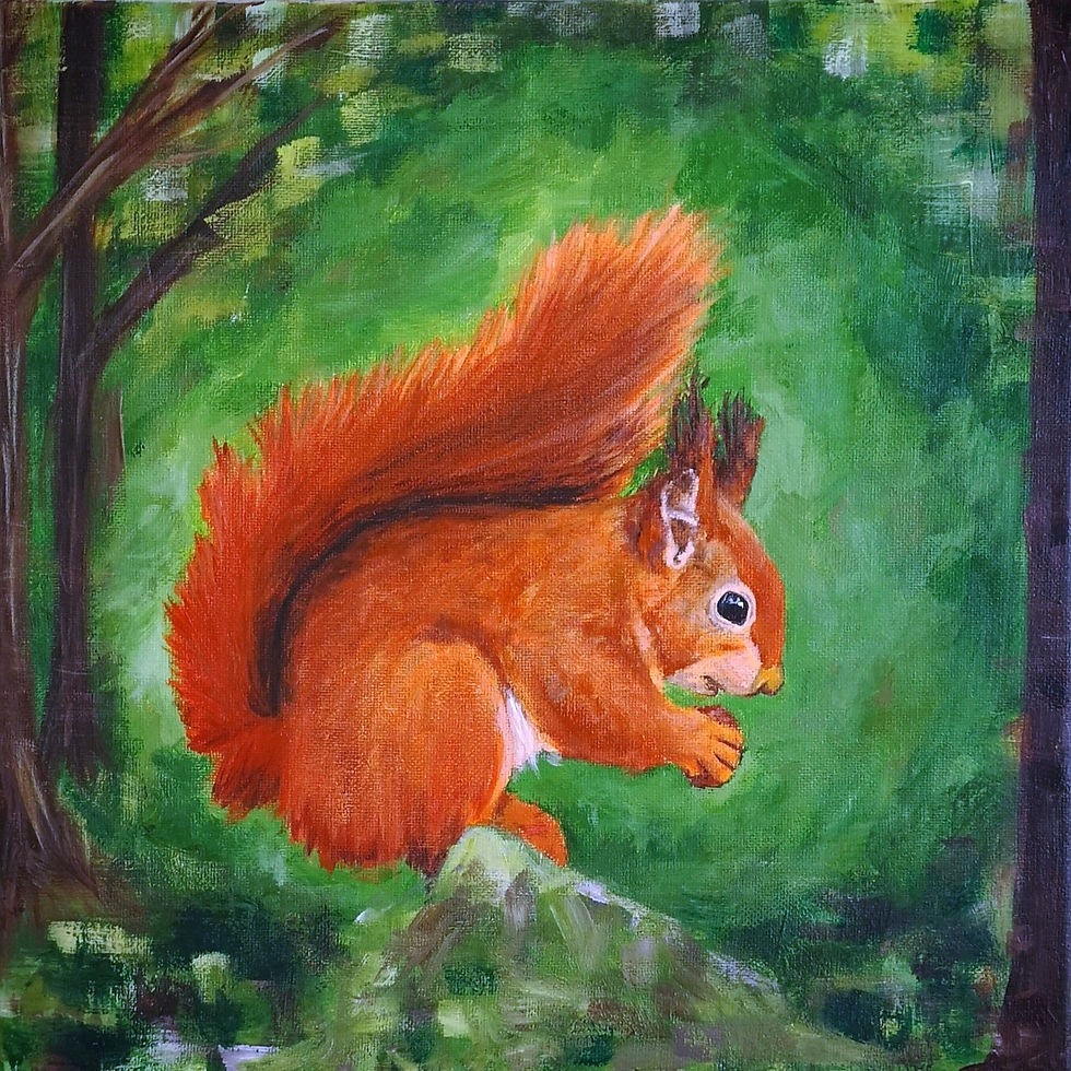 Close up, Red Squirrel greetings cards, beautiful quality cards, woodland animals original artwork