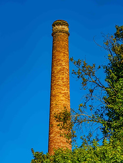 _DSC9106.jpg