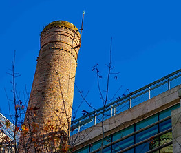 _DSC9099.jpg