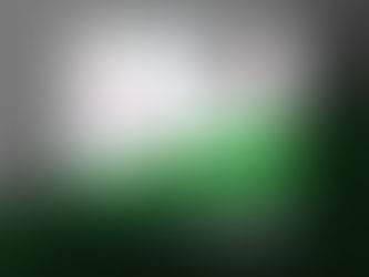 SUREBET, LEGGENDA O REALTA?