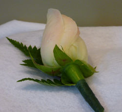 Groom's Boutonniere