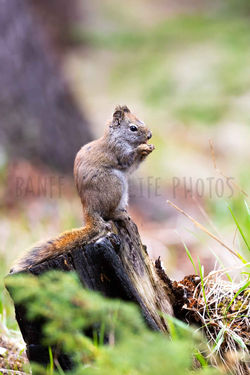 Favourites - 1 of 1-4