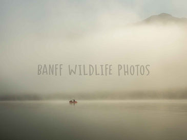 Tom Maligne packraft mouhntain.jpg