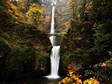 Mulnomath Falls Oregon-2-2.jpg