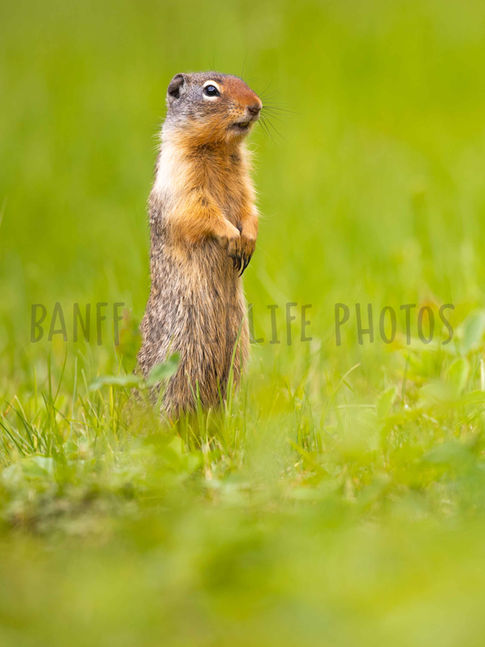 Favourites - 1 of 1-3.jpg