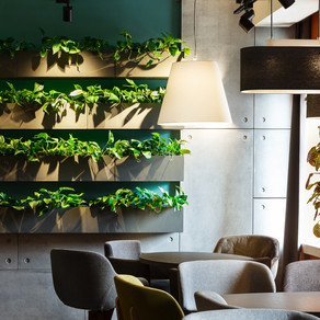 Workplace Wellness and Productivity