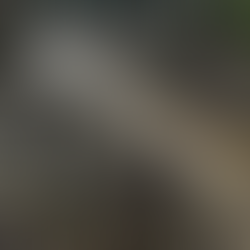 Resilience on Borrowed Time: Philippines’ Last-Mile Crisis