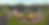 GACC_Opening_Shot.png