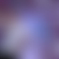 Run to Remember 2025: A Run for Resilience and Climate Action