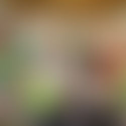 Celebrating Partnerships and Progress: FundLife Leads Kamustahan 2025 Gathering