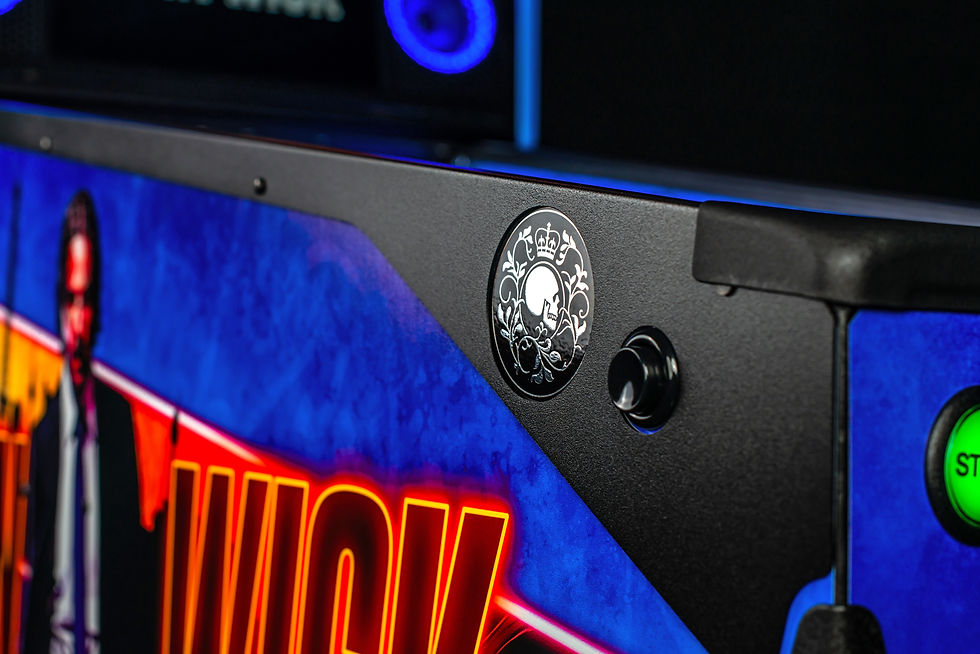 Thumbnail: Stern John Wick Side Armor