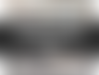 The Isabella Stewart Gardner Heist