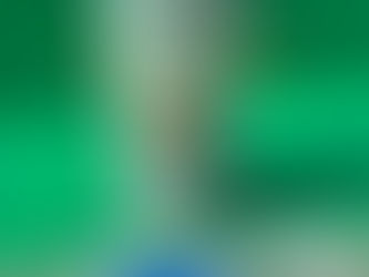 hsn-kikai kogyo NE40PA pump stator bilge separator Heishin Pump Works Co. Ltd