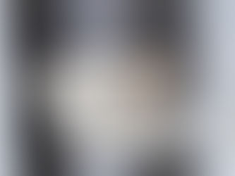 0001368080 Bosch 0 001 368 080 24V 9 TOOTH BOSCH STARTER