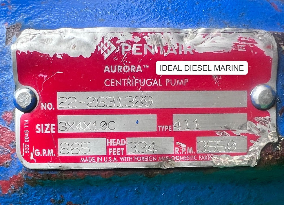 Pentair Aurora Centrifugal Pumps NEW Model 411 CAP 365 GPM Head534 feet 3550 RPM USA