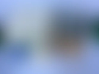 Taisei kogyo SEL005409 P-GC, SH-3-20UMADE IN JAPAN(GC,SH,GV型共通)