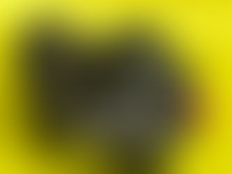 Detroit Diesel Fuel pump
P/N 5113776 45M worldwide delivery,