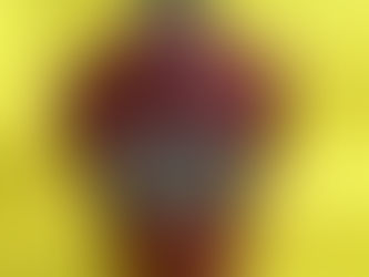 HYDAC-DF60-pressure fiter -420Bar -DFBHHC-60G20B1.1-New