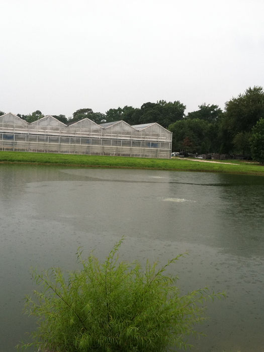 Overcast day near a lake