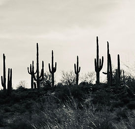 PHOTO-2025-12-06-22-35-06 5.jpg