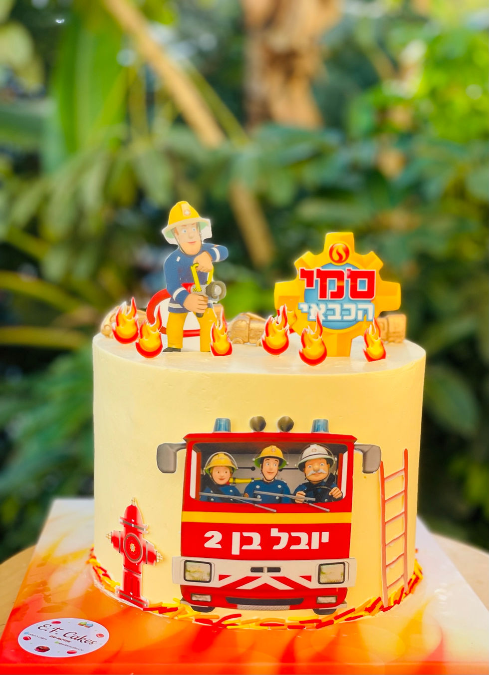 תמונה ממוזערת: עוגת שוקולד/וניל מעוצבת