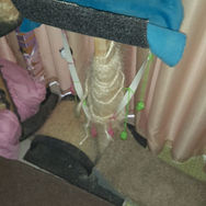 IMG-20220905-WA0026.jpg