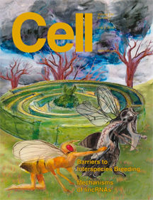 A maze of bushes with centaur in the. middle. Trees and a cloudy sky dark. Two fruit flys dressed like people in the forground, one is yellow on its knees trying to seduce the woman in a dress.