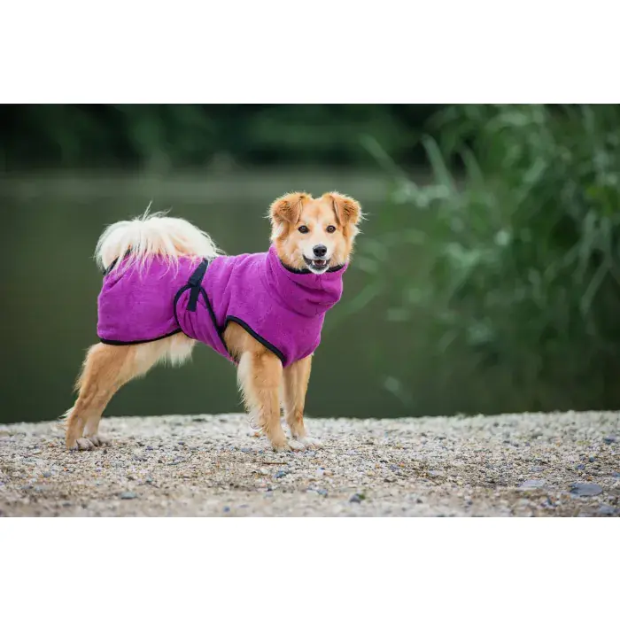 Miniaturbild: Hundebademantel | deek DryDog