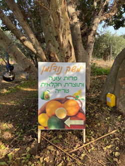 WhatsApp Image 2021-02-22 at 14.06.58