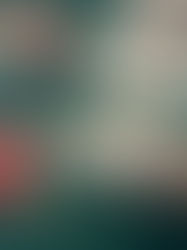 Loss Aversion and Gambling: How Psychology Influences Your Betting Behavior