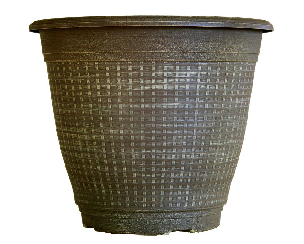11.5" Brenda 2.5-Gal