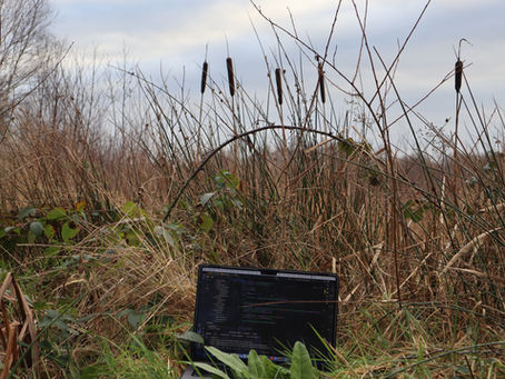 Why Indies Games Are Thriving and Triple-A is Falling Behind